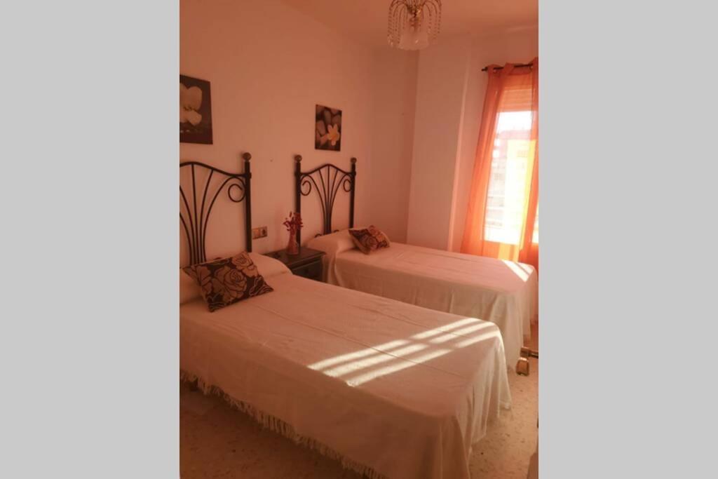 Espacioso Piso En Residencial Con Gran Piscina El Puerto de Santa Maria Ngoại thất bức ảnh